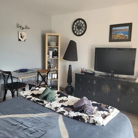 Agay A 2 Pas Des Plages Сен-Рафаель